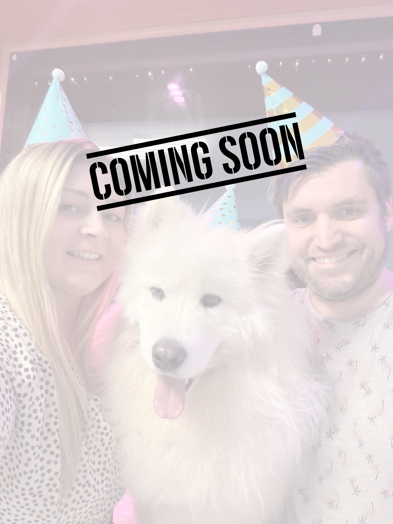 Geburtstagsbegegnung mit Hund